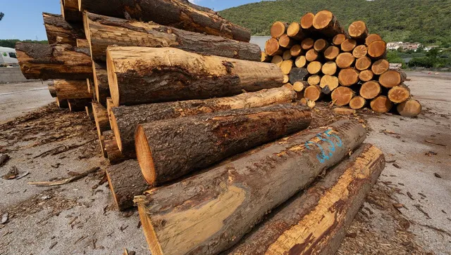 "grumes bois combustible"