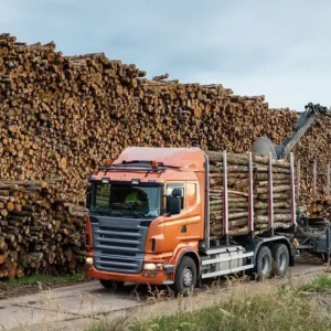 "camion de bois en stères"