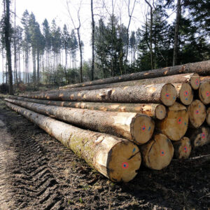 "2bois de chauffage en grumes"